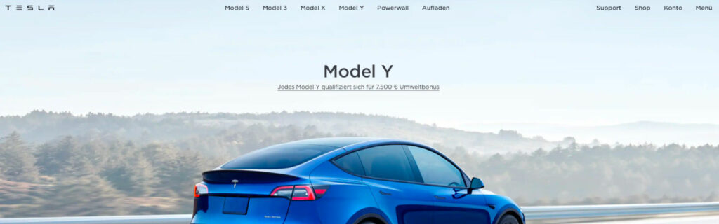 Display of Tesla website